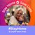 Ann Hatcher Nettles's profile image