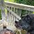 Jill Hodkivitz's profile image