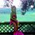 Gerri Jackson's profile image