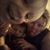 Sharry Wilson's profile image
