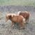 Roslyn Lairmore Moore's profile image