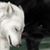 Chris Marron's profile image