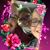 Antonio Alvarado Rodriguez's profile image