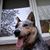 Bob Krenkel's profile image