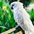 Tinsley Ducote's profile image