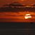 Joanne Rasmussen's profile image