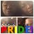 Shaniese Faded Robinson's profile image