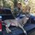 Kelly Keppel's profile image