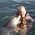 Kelly Jansma's profile image