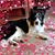 Melissa Eaton Hardy's profile image
