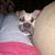 Stacy Ann Chambers's profile image