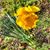 Julie Ward's profile image