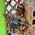 Cynara Paiva's profile image