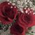 Phyllis Rose's profile image