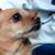 Barbara Strycharz's profile image