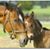 Elizabeth Walker's profile image