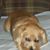 Connie DeBusk Couch's profile image