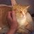 Terry Wallace Hooper's profile image