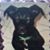 Linda Dianetti Alongi's profile image