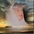 Cheryl Csengery's profile image