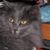 Heather Webb's profile image