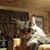 Pamela Davis's profile image
