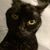 Patti Baker Murphy's profile image