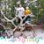 Lisa Eckersley's profile image