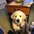 Sharon Secules-Muchler's profile image