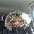 Paula Januszewski's profile image