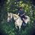 Furkan Sahin's profile image