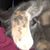 Beth Girard's profile image