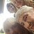 Meedan Greenlee's profile image
