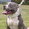Kerrick Brown (M.A.C. D.'s profile image