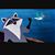 Mary Alice's profile image