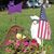 Melissa Spencer Bracy's profile image