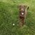 Carol Evenson's profile image
