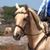 Wendy Malek's profile image