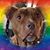 Anna Miller's profile image