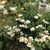 Mayra Venegas's profile image