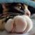 Cathe Thompson's profile image