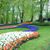 Linda Whitfield Linhares's profile image