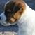 Lacy Patton's profile image