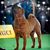 Tammy Bohlke's profile image