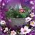 Ashley Howard Tarver's profile image
