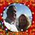 Richard Senko's profile image