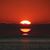 Sharon Hall's profile image