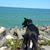 Kaycie Hollier Clark's profile image