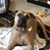 Tabatha Hoffner's profile image