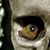 Bruce Walters's profile image